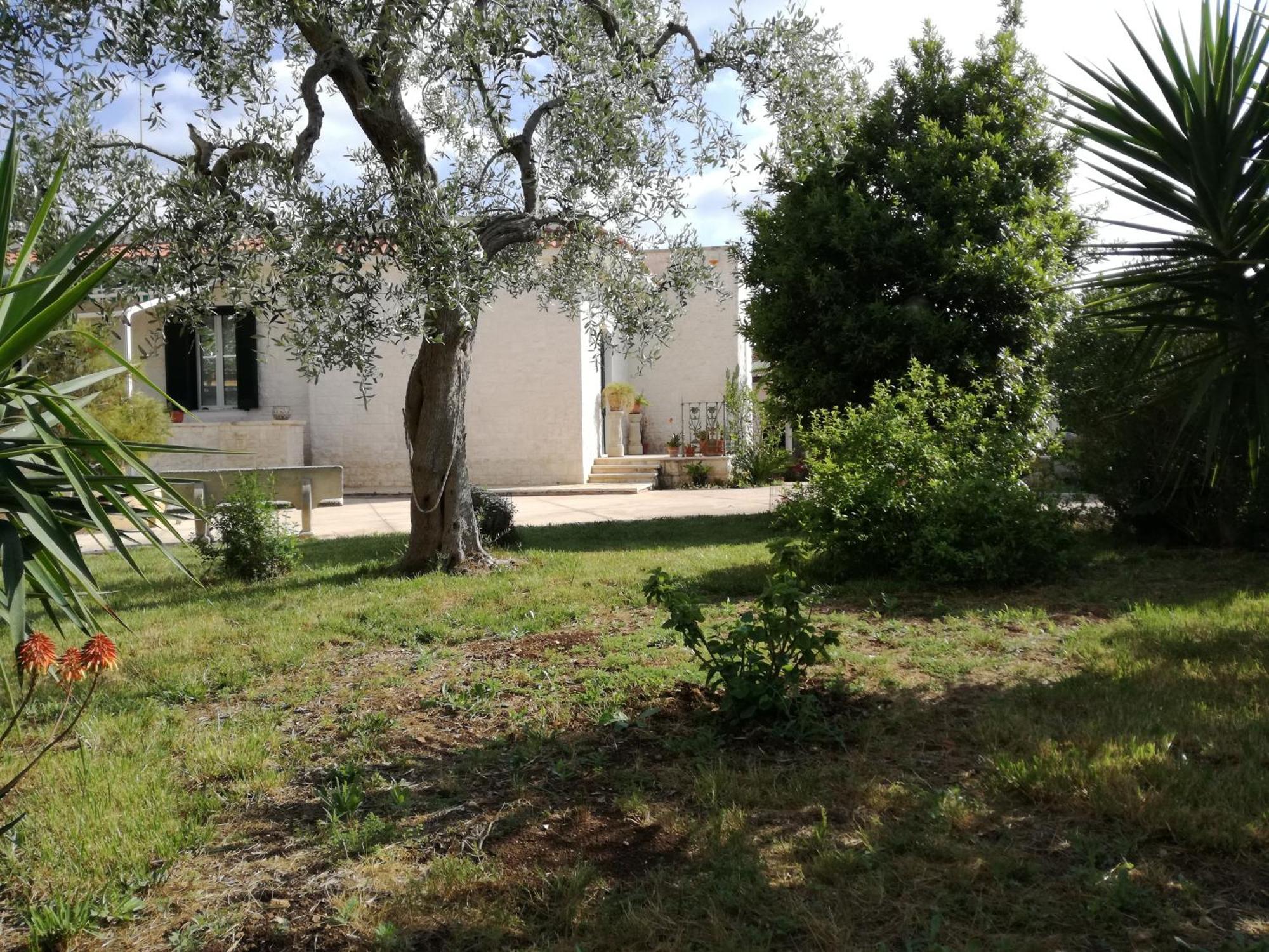 Countryhouse Bari Bagian luar foto